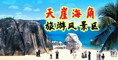 大鸡巴插入逼洞海南三亚-天崖海角旅游风景区