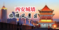 美草逼逼操逼逼中国陕西-西安城墙旅游风景区